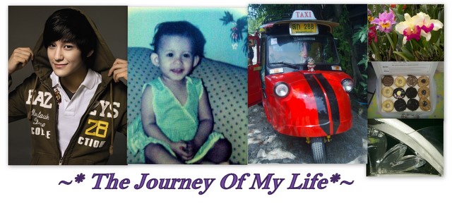 The Journey Of My life