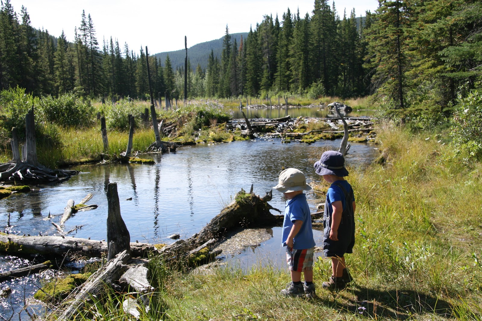 Family Adventures in the Canadian Rockies Spring and Fall Hiking