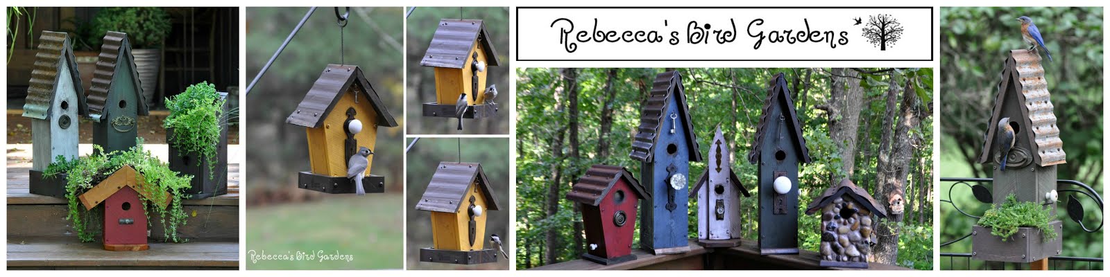 Rebecca's Bird Gardens Blog