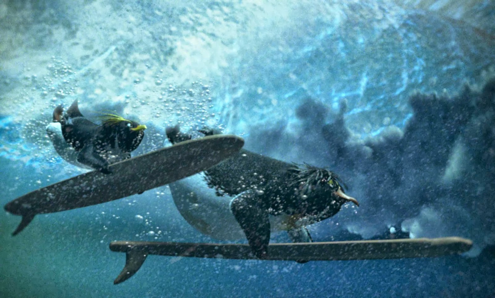 Surf's Up Wallpapers | Wallpaper Albums