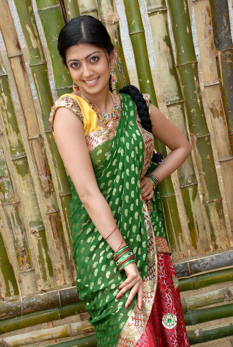 pranitha saree , pranitha new in saree glamour  images
