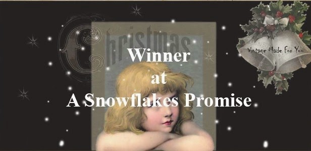 A Snowflakes Promise