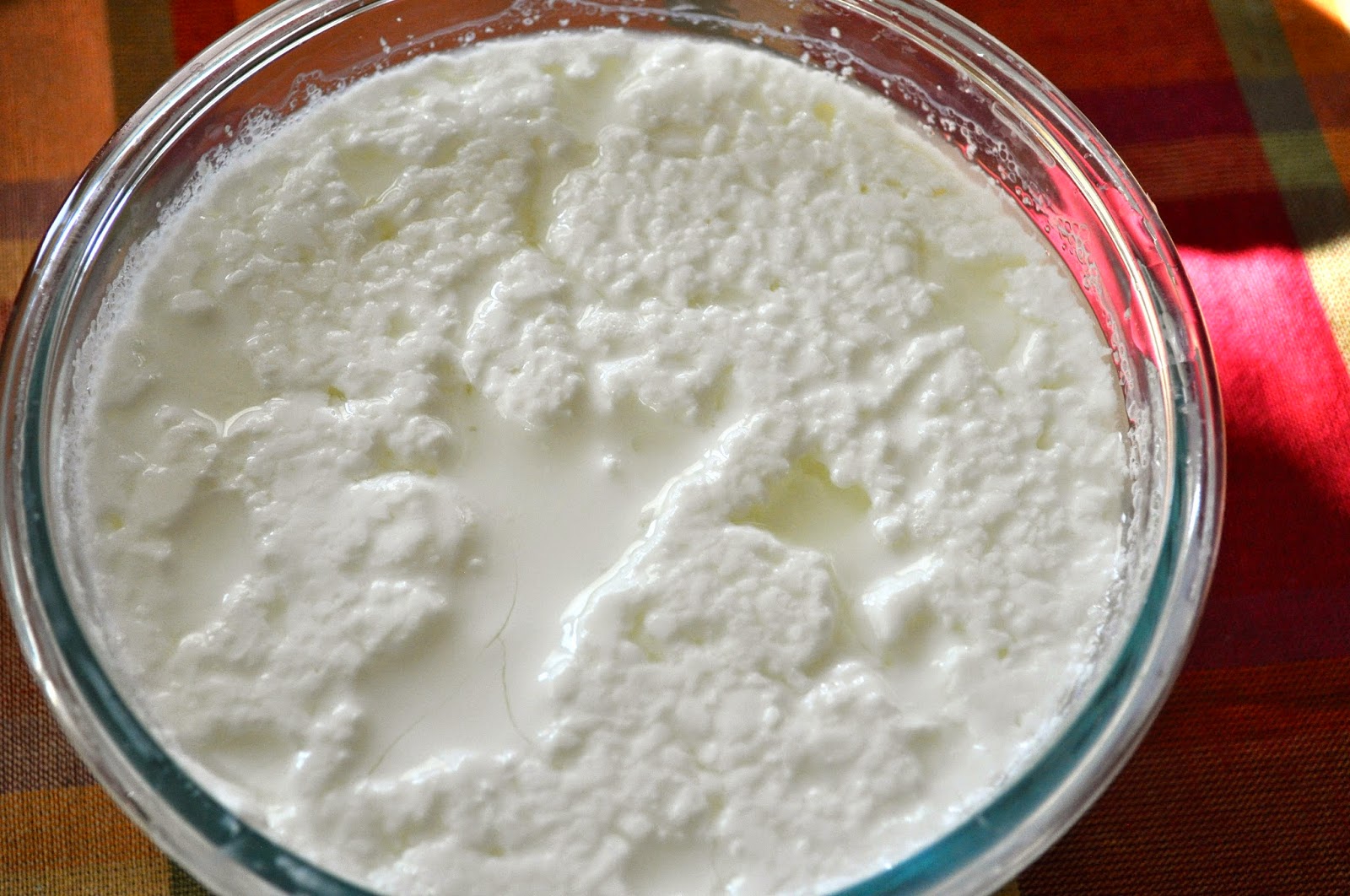 Cooking with Meena Homemade yogurt Indian style