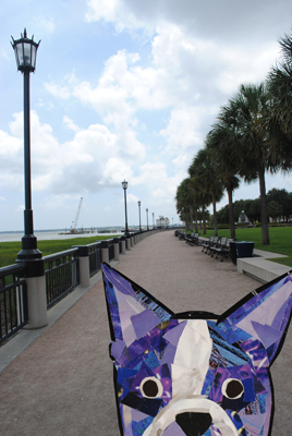 Bosty goes to Charleston by Megan Coyle