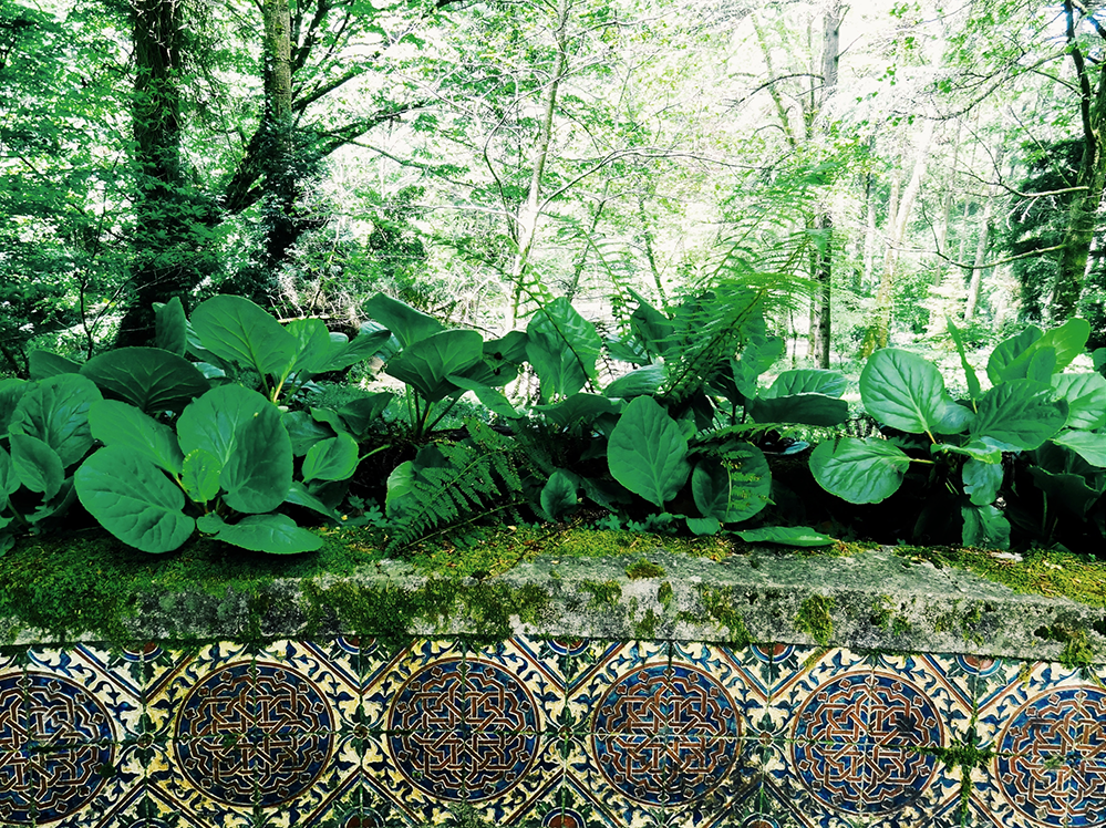 Palais de Pena, Sintra - portugal - www.hellolaroux.com Palais de Pena, Sintra - portugal - www.hellolaroux.com