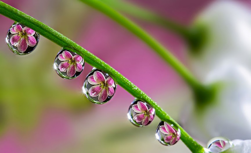 Rosinka07 - Домики бабушек