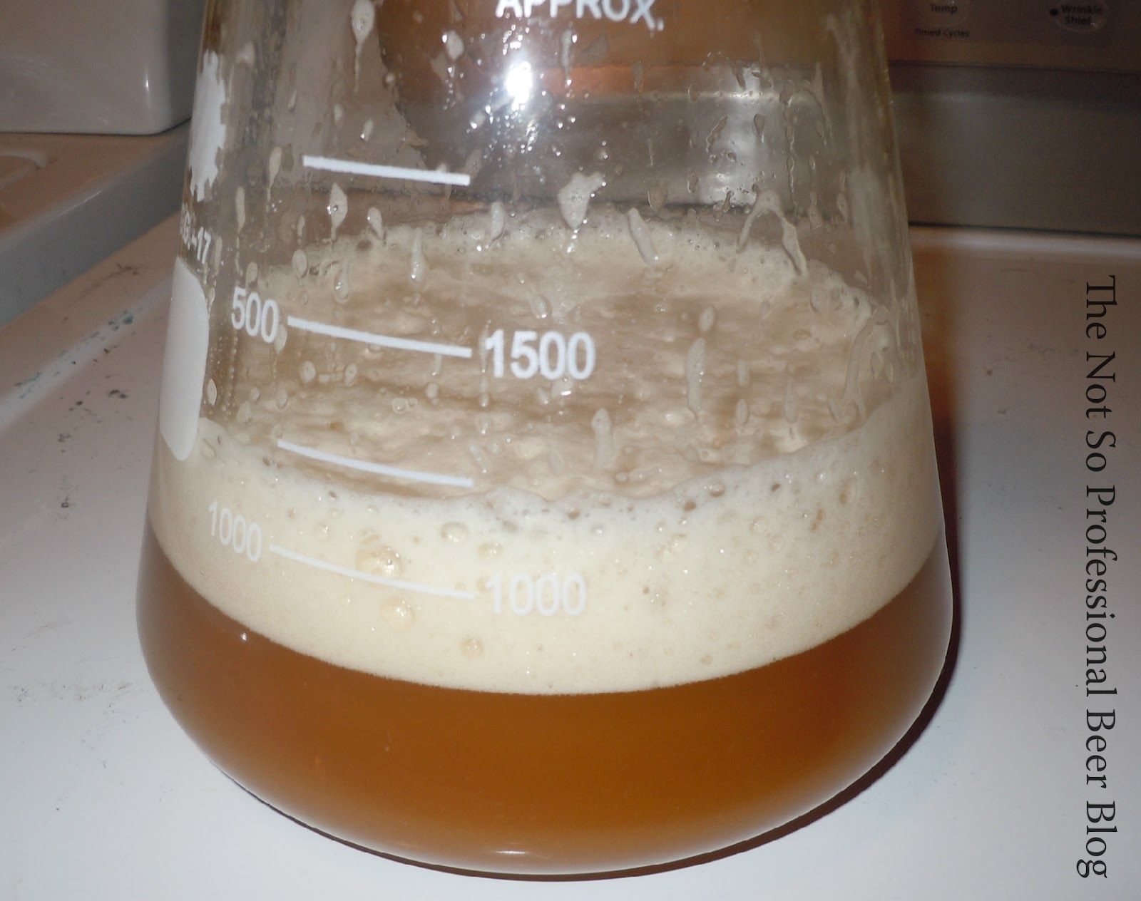 Making a Yeast Starter The Not So Professional Beer Blog