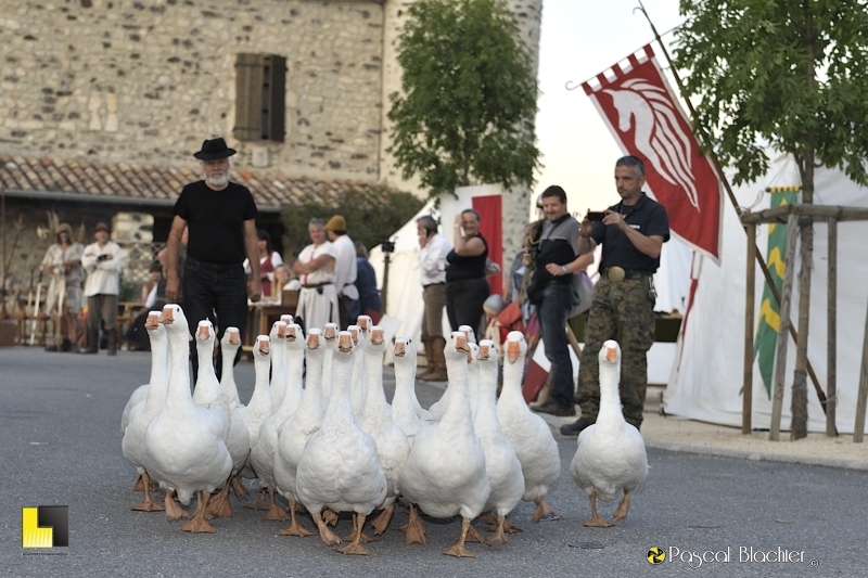 pierre et ses oies saint vincent de barres photo pascal blachier