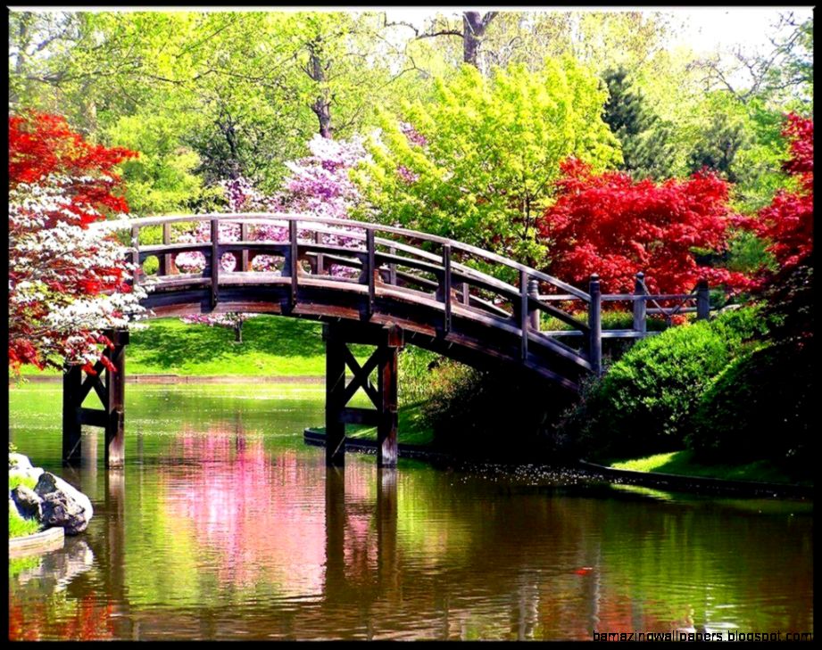 Spring Backgrounds Desktop Wallpaper Cave Spring Backgrounds Desktop Wallpaper Cave