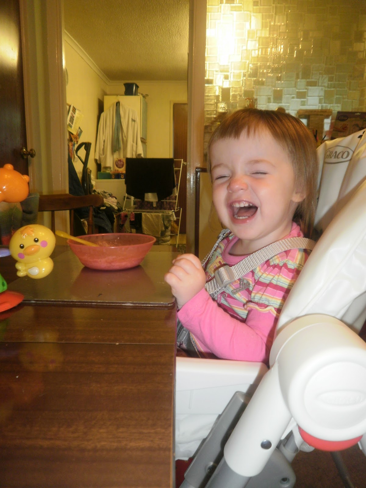 Squeaky Baby Graco Contempo High Chair Review