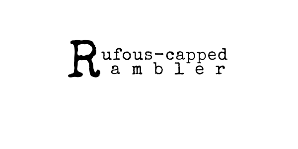 Rufous-Capped Rambler