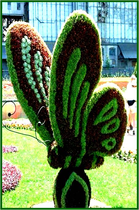 Amazing ideas of topiary art for your garden Amazing ideas of topiary art for your garden