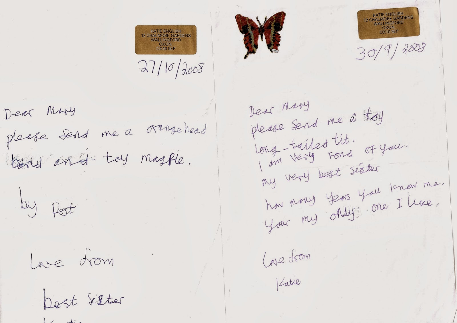 in memory of my sister katy with downs syndrome mary english a letter to my little sister