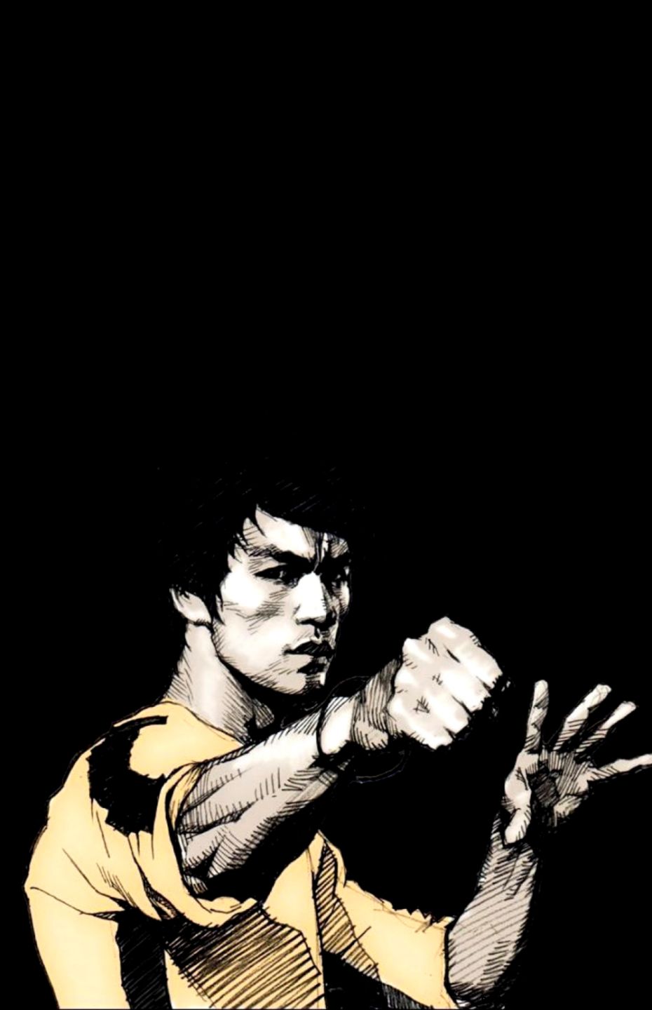Bruce Lee Punch iPhone 6 Plus HD Wallpaper iPod Wallpaper HD Bruce Lee Punch iPhone 6 Plus HD Wallpaper iPod Wallpaper HD