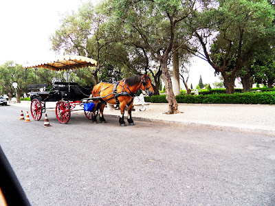 Mijloc de transport in Lisabona; caleasca cu cai; calatorie; placere; turism, destinatie; aventura; excursie