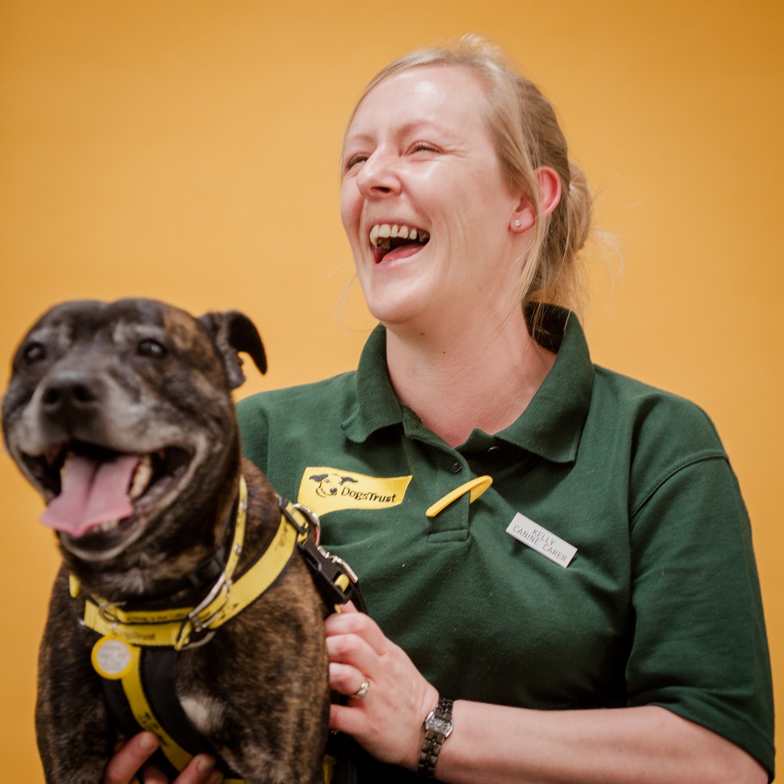 Dogs Trust Dogs Trust Loughborough... a year on!