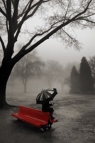 Photography: alone in rain