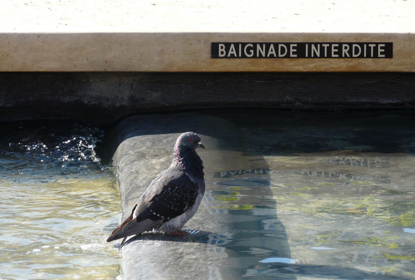 rencontre carla bruni michelle obama