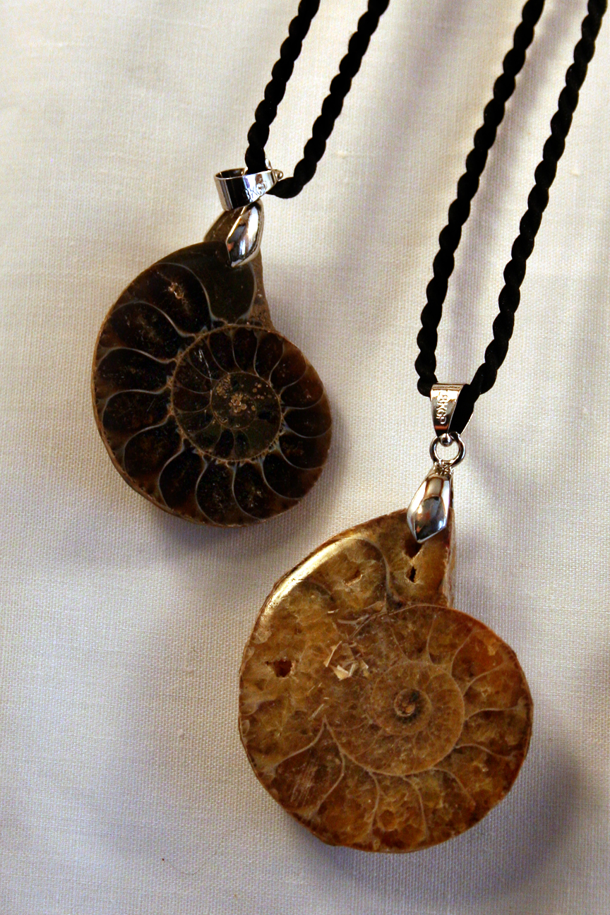 Ammonite Necklace
