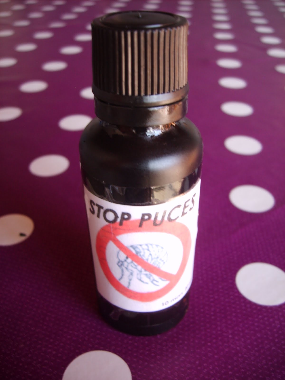 Mes grimoires bio: Anti-puces naturel pour chats