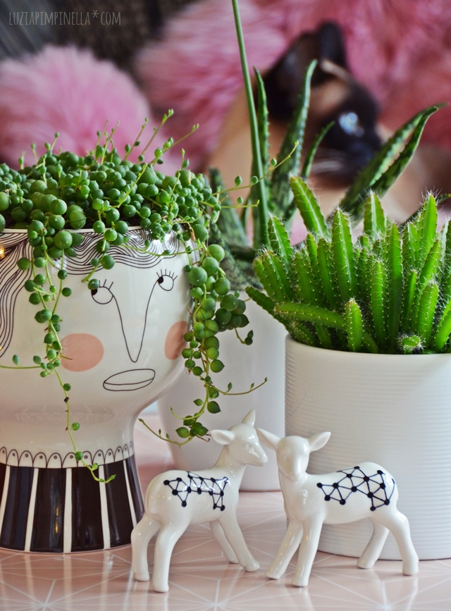 FAVOURITES FOR FRIDAY plant pots with faces craftykin
