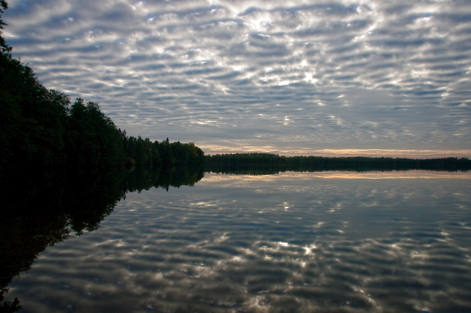 Symmetric reflection, lake Uljaste, Estonia