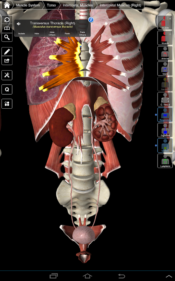 Essential Anatomy 3 v1.1.2 APK android