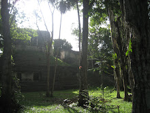 Ruins in the middle of the Jungle