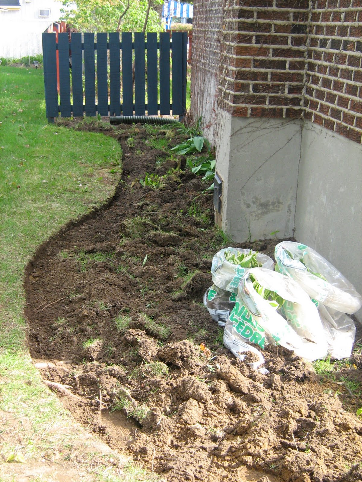 Roses Du Jardin Cheneland Soins Des Arbustes En Hiver
