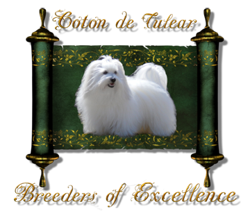 Coton de Tulear Breeders of Excellence