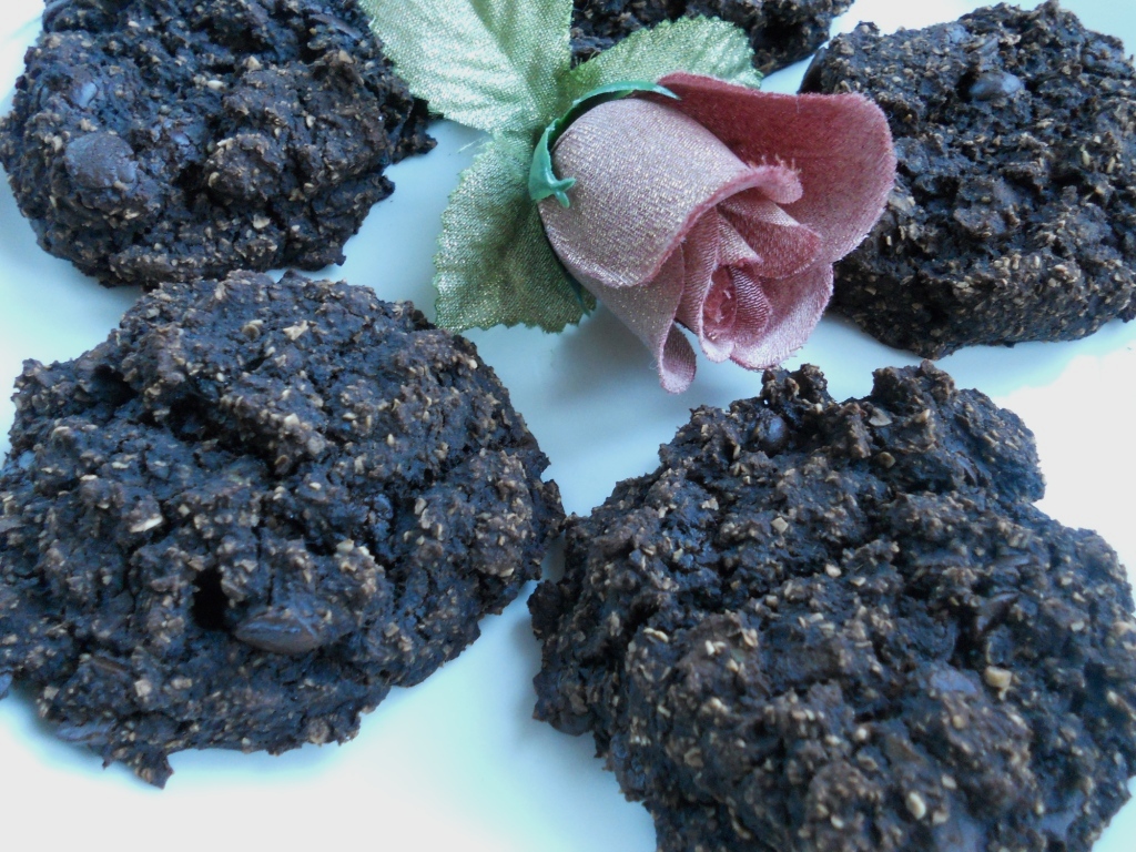 Snacking Squirrel Carob Chip Brownie Cookies