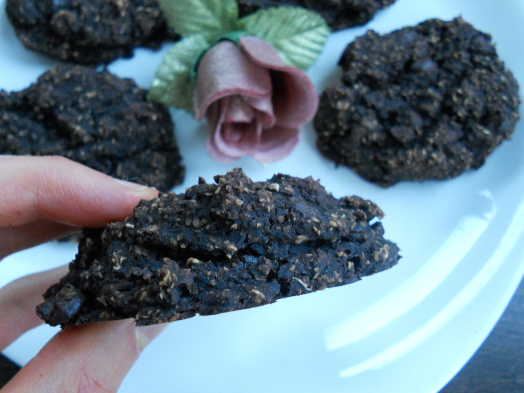 Snacking Squirrel Carob Chip Brownie Cookies