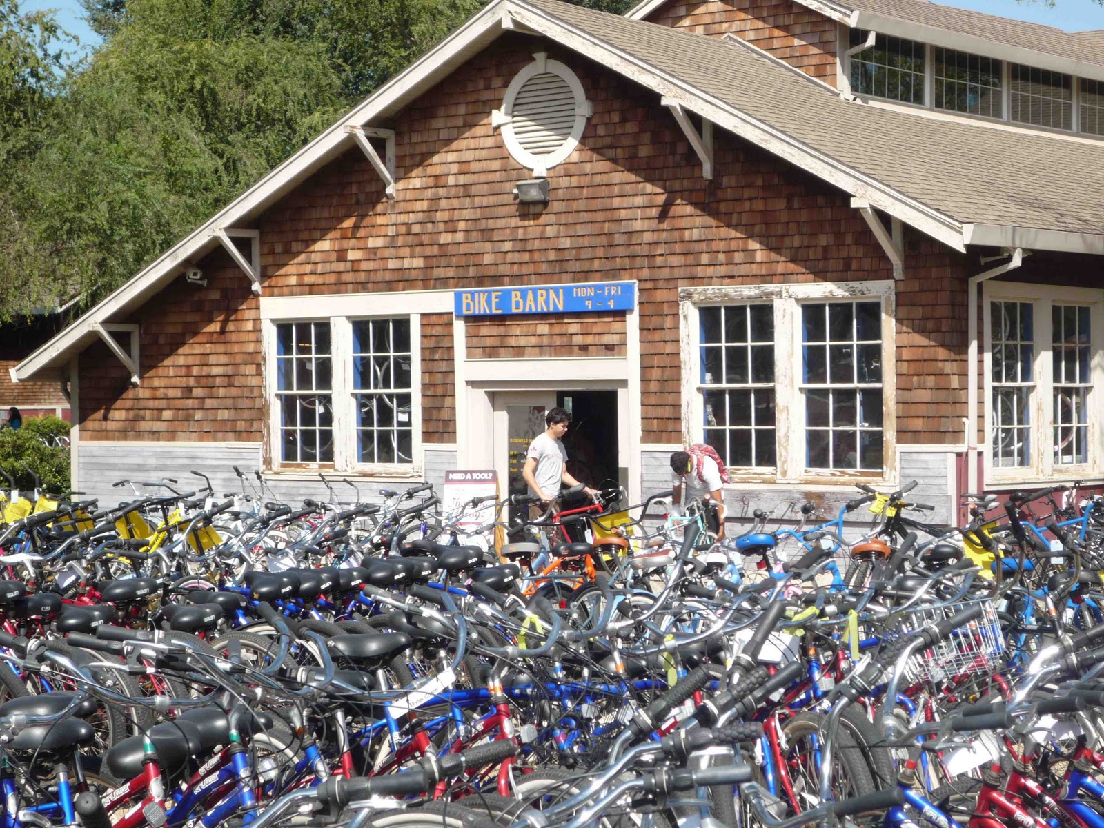 Stark Raving Nomads Davis, Calif Experiencing Platinum BikeFriendliness
