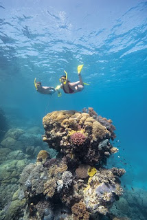 the great barrier reef