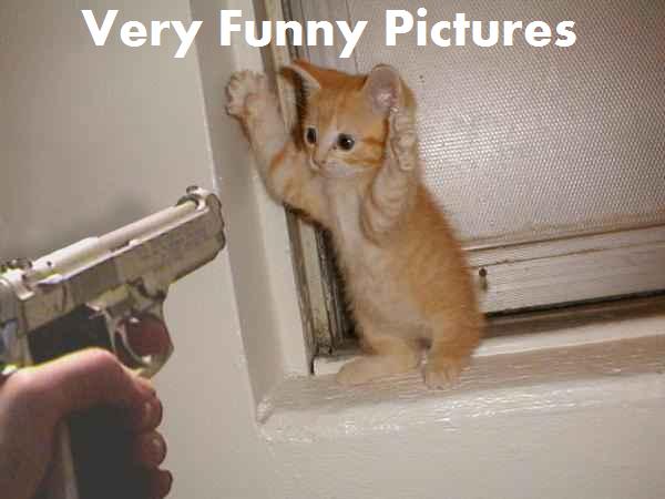 Very Funny Pictures