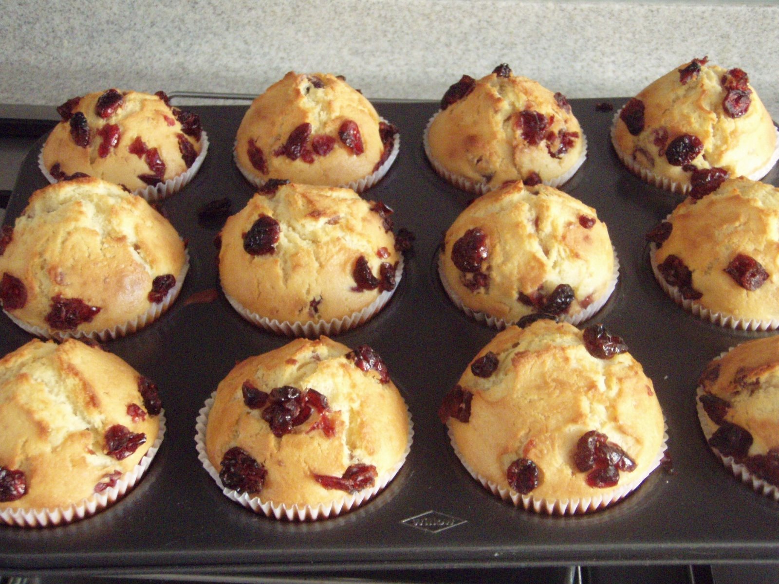 [Canberry+Muffin+291107+021.jpg]