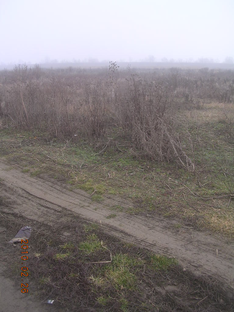 [DSCN7833.JPG]