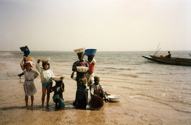 Les salins du Saloum