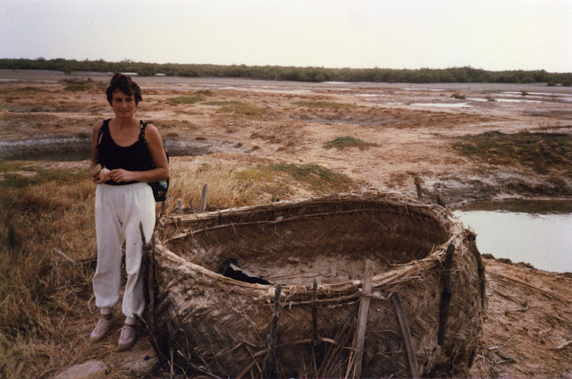 Les salins du Saloum