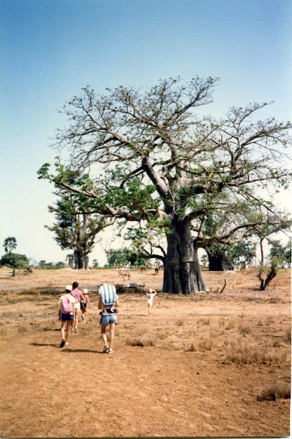 Direction l'intérieur des terres