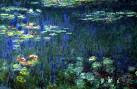 Nenúfares      Monet