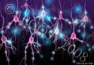 Neurônios Motores