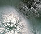 neurônios de arte