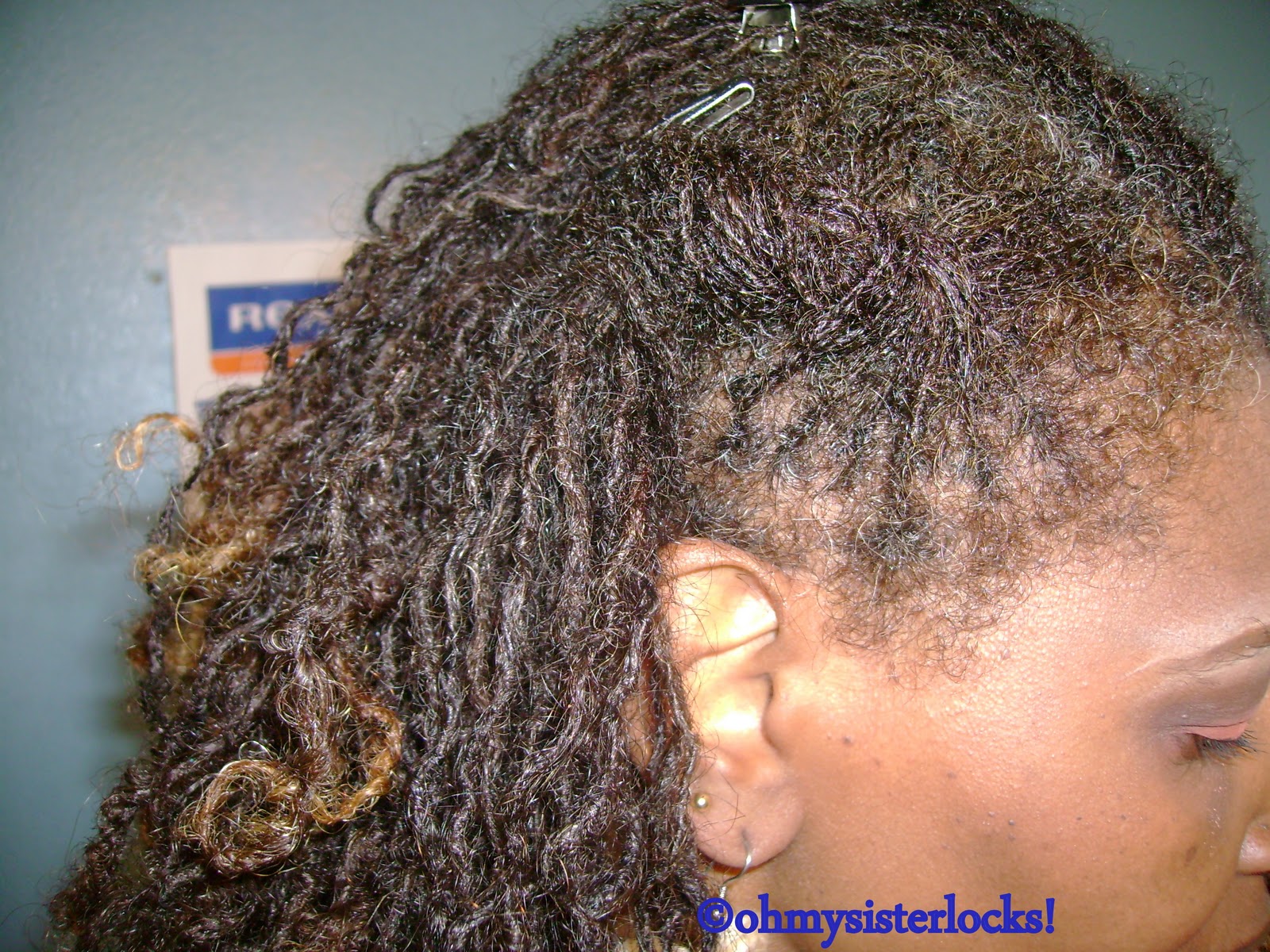 Oh My! Sisterlocks The Orlando Natural Hair Expo! HairStyle