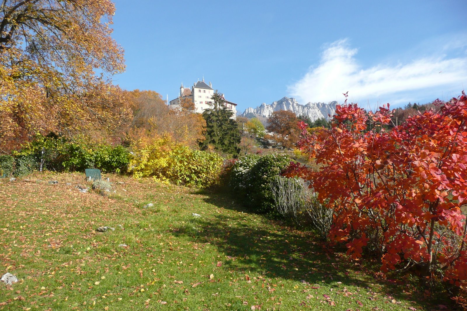 Nos Chambres D Hotes Au Bord Du Lac D Annecy Novembre Encore Dans Le Jardin De La Vallombreuse