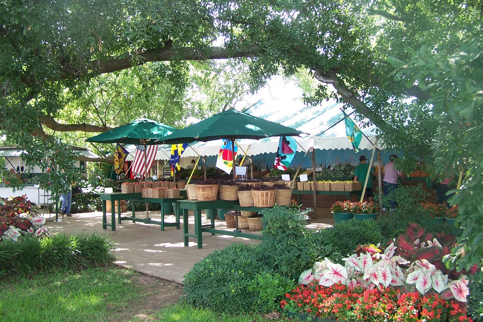 And So it Goes in Shreveport Take a Trip to Coushatta