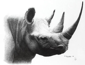 [rinocerontre-hispas.jpg]