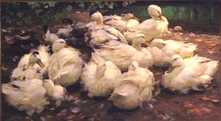 [He.duckslarge.jpg]