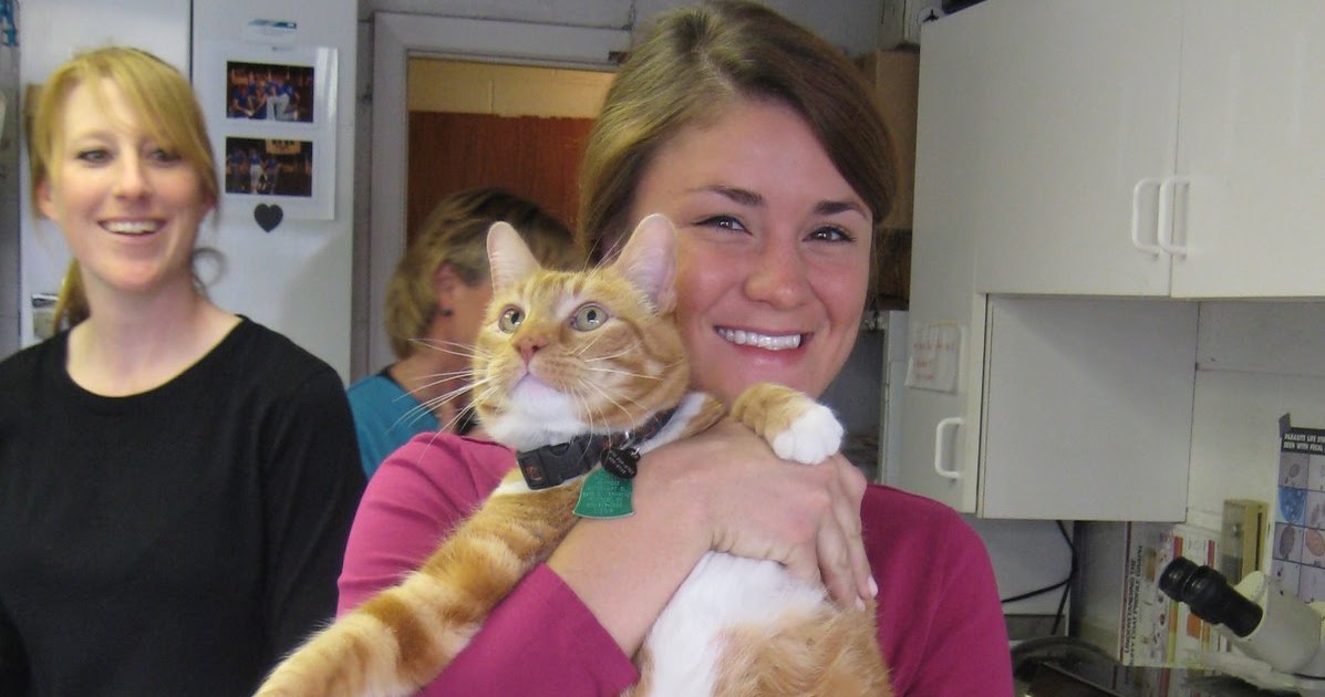 My Daily SOAPs A few of the cases at Montrose Veterinary Clinic!