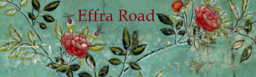 effra road